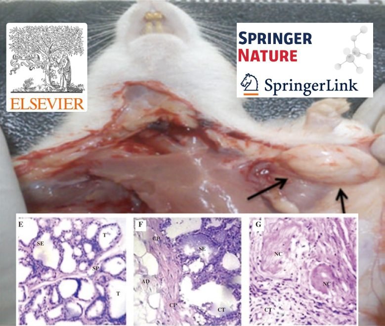 Oncology: Translating Cancer Research into Tumor Marker Precision Diagnostics